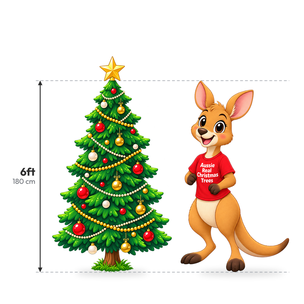 Fresh cut Real Christmas Tree 6ft