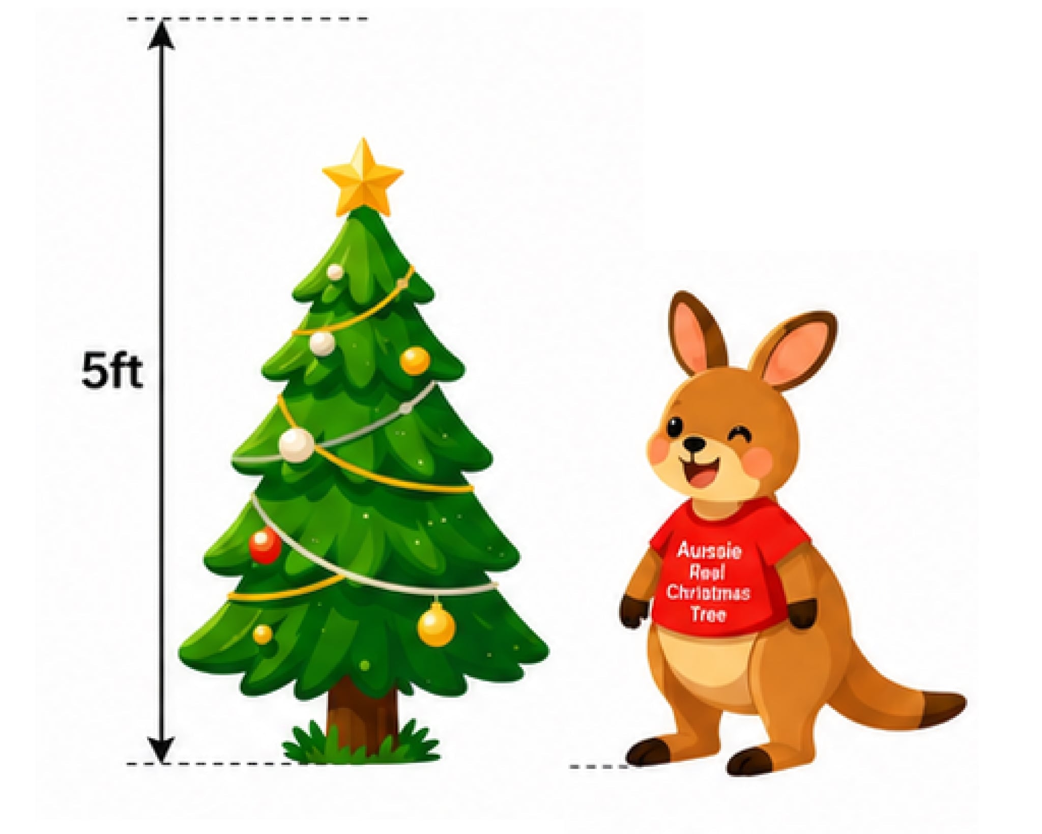 Fresh cut Real Christmas Tree 5ft