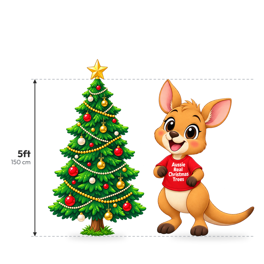 Fresh cut Real Christmas Tree 5ft