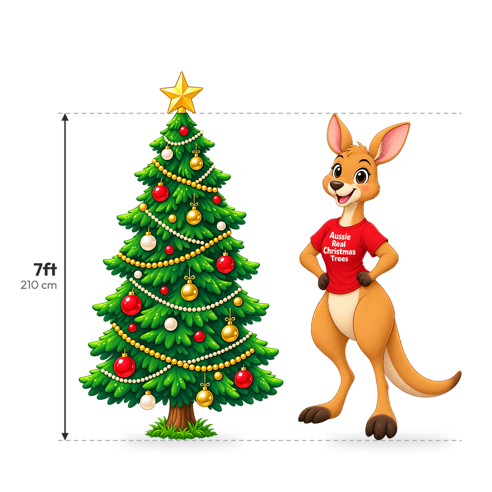 Fresh cut Real Christmas Tree 7ft